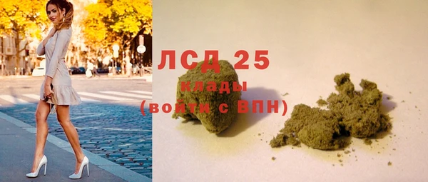гашик Алзамай