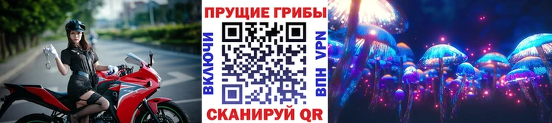 Галлюциногенные грибы Psilocybine cubensis Солнечногорск
